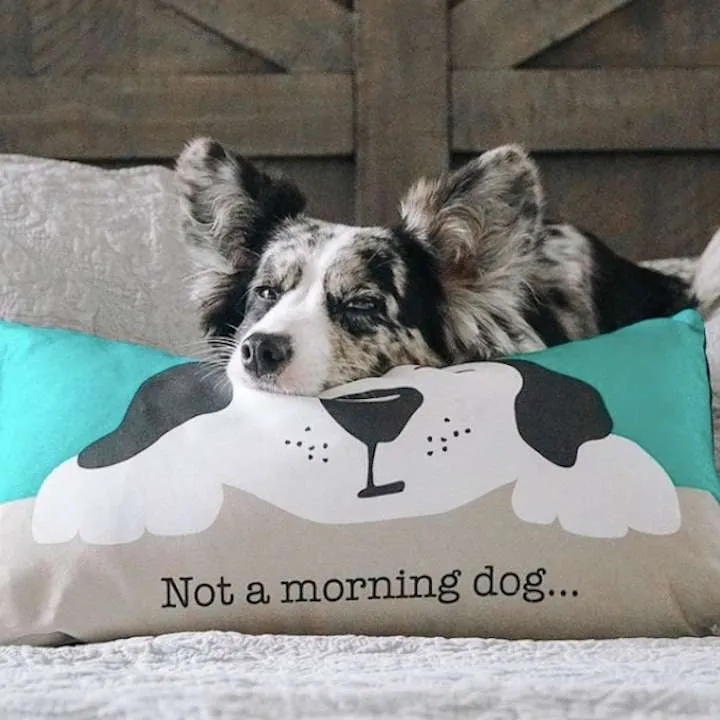 Accent Pillow | Not A Morning Dog