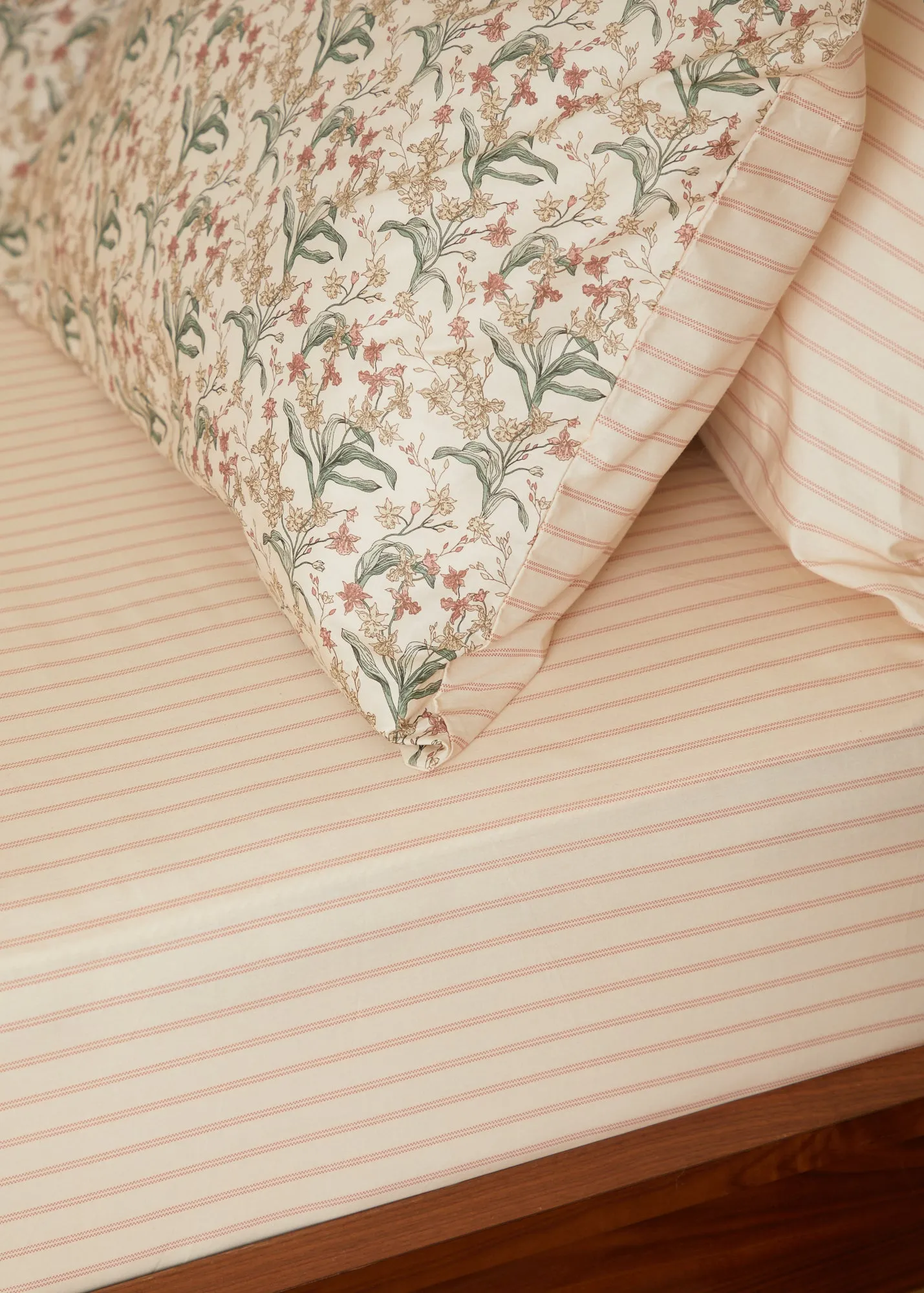 Foxford Romantic Stripe Fitted Sheet