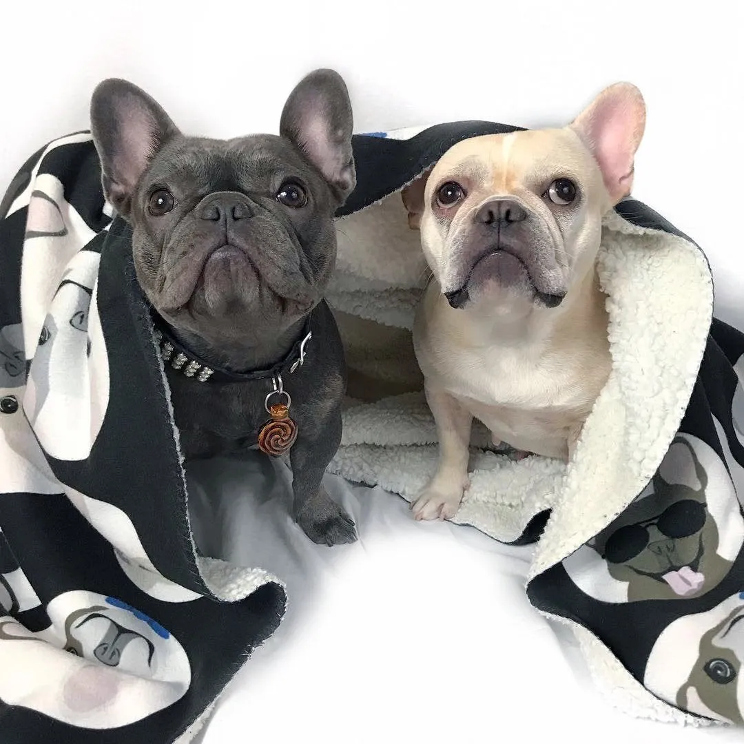 Frenchie Blanket | Frenchiestore | French Bulldogs Black Polka Dots