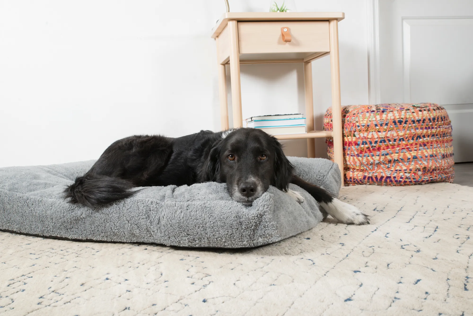 Fuzzy Mattress Bed