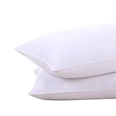 Pillow Insert