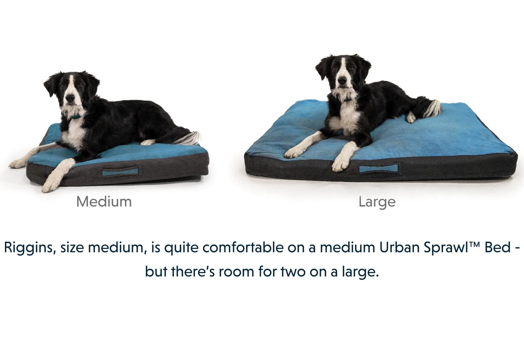 Urban Sprawl™ Dog Bed